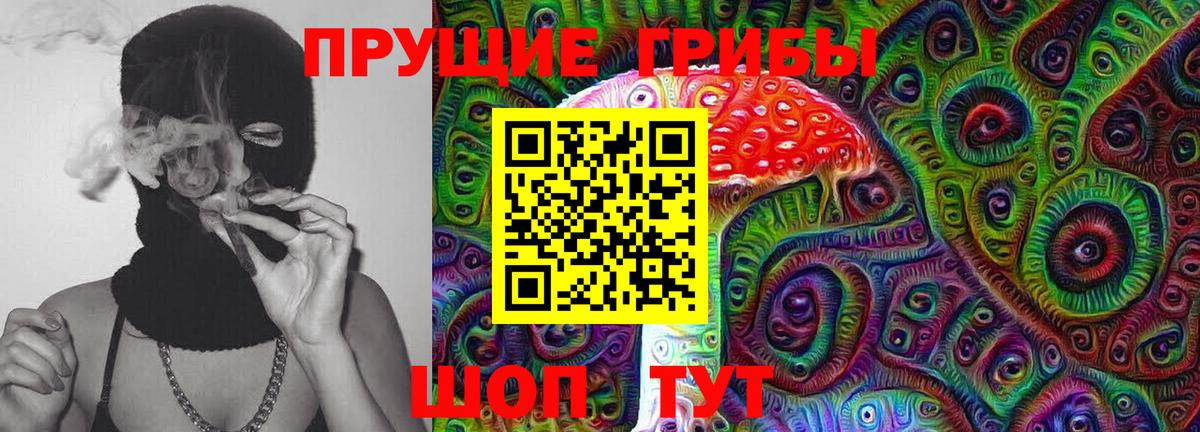 Галлюциногенные грибы MAGIC MUSHROOMS  Вход с VPN  Серпухов 